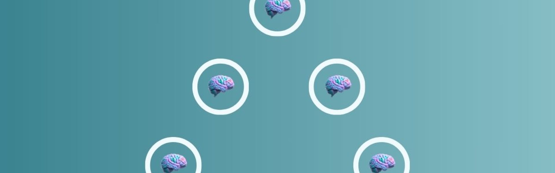 Training breinvriendelijk samenwerken met je team