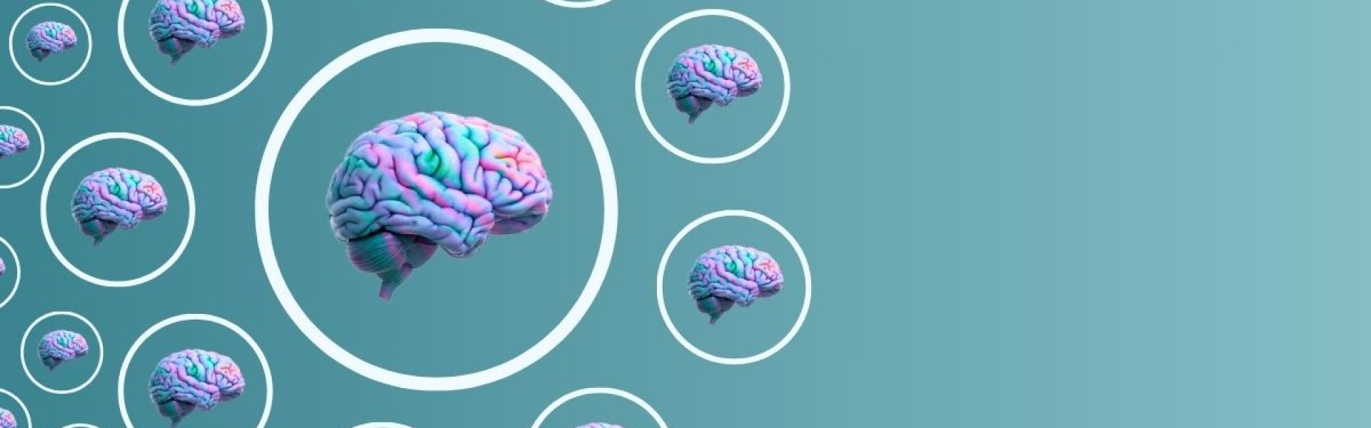 Training neurodiversiteit in onderwijs