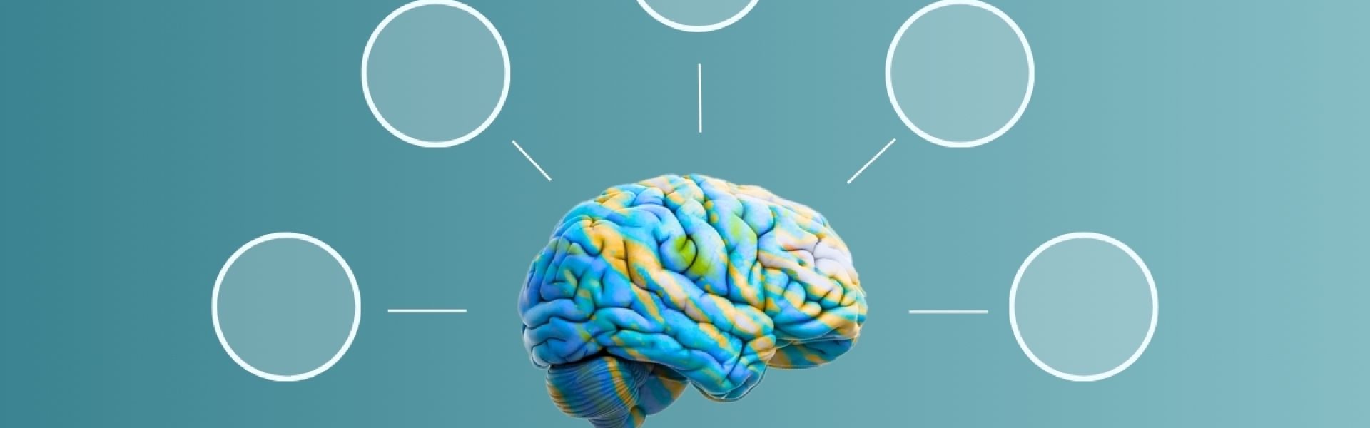 breinwerk-psychologie-op-de-werkvloer-training-amt
